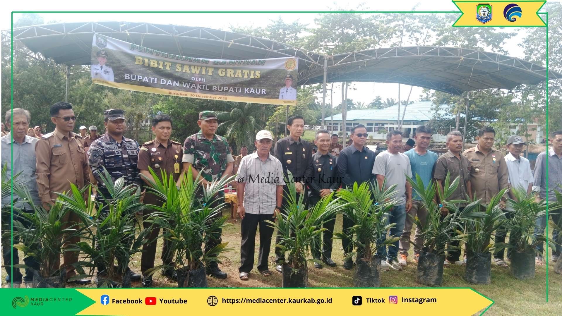 Penyerahan Bibit Sawit Gratis oleh Pemda Kabupaten Kaur