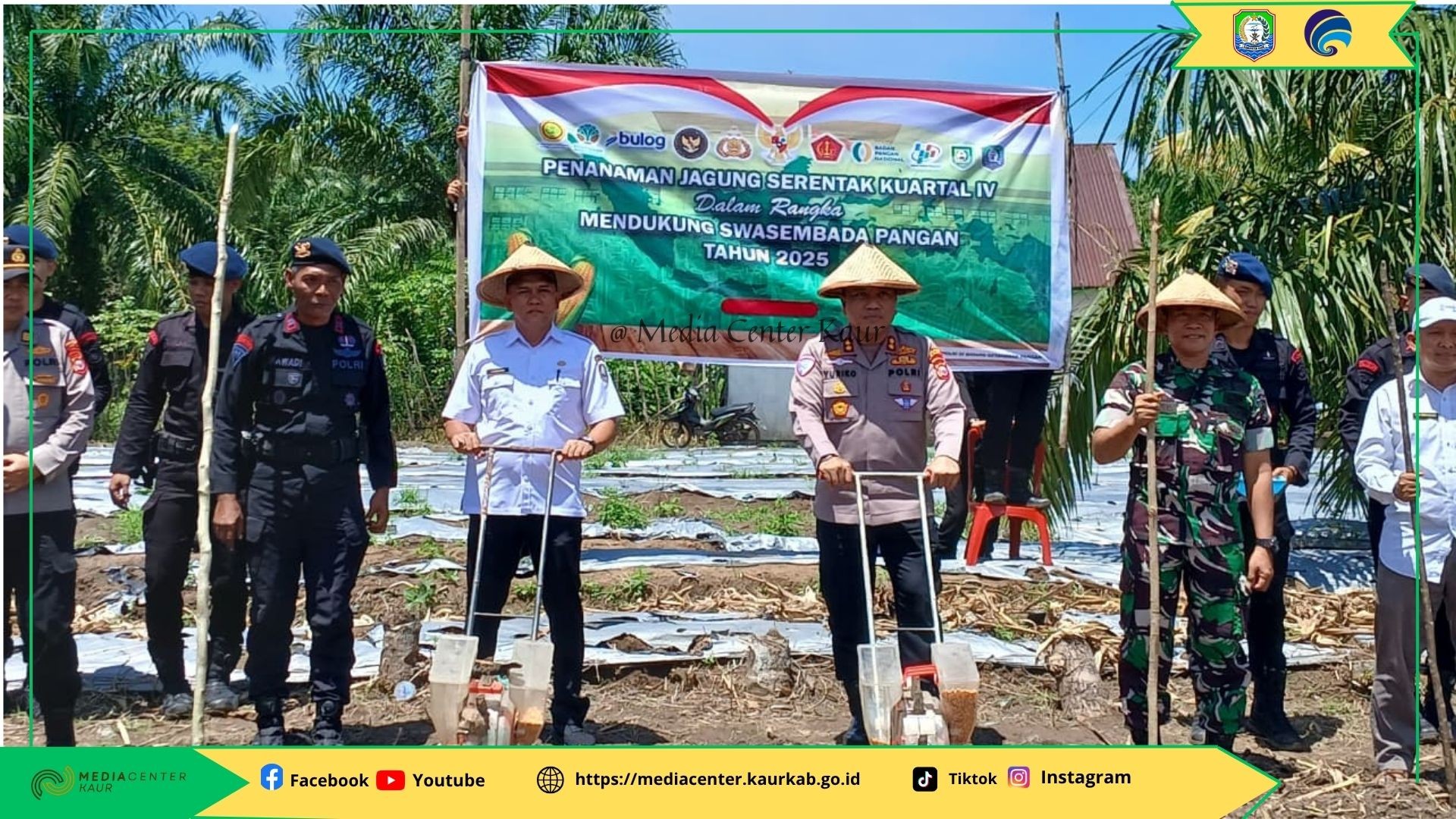 Kabupaten Kaur Sukses Gelar Penanaman Jagung Serentak Kuartal IV, Dukung Swasembada Pangan 2025